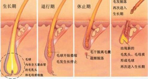 做冰点激光脱毛对皮肤有损伤吗