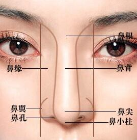 用自己的软骨隆鼻后还能再生吗