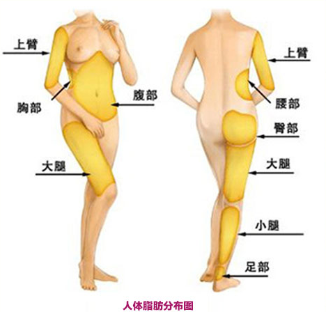 吸脂减肥手术要注意哪些风险问题