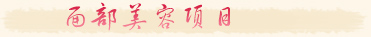 美莱美容中医经典项目_面部美容项目